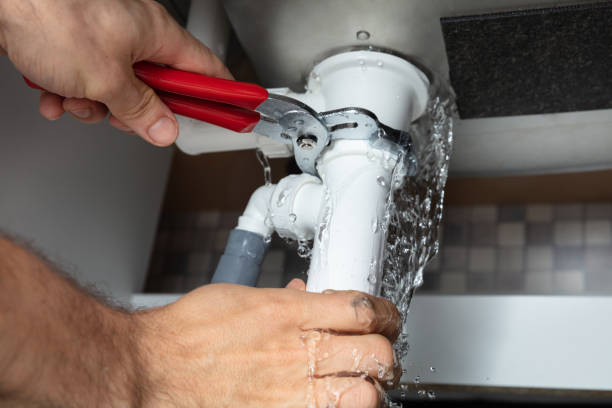 Best Water damage cleanup near me  in Gaylord, MN