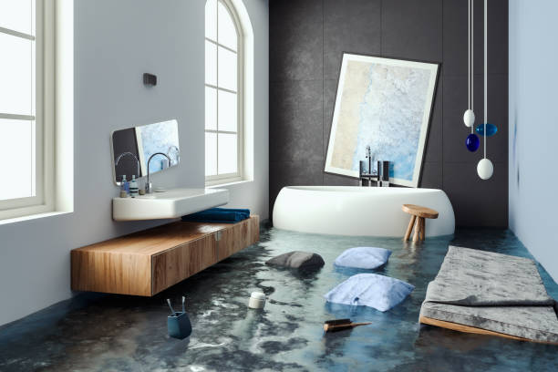 Best Mold removal after water damage  in Gaylord, MN