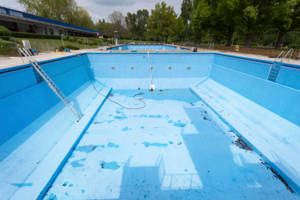 Best Professional water damage repair  in Gaylord, MN