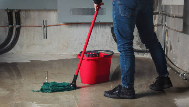 Best Sewage cleanup and water damage restoration  in Gaylord, MN