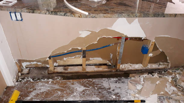 Best Residential water damage restoration  in Gaylord, MN