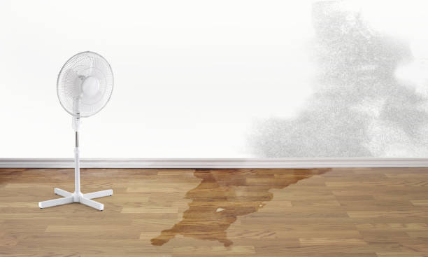 Best 24/7 water damage repair  in Gaylord, MN