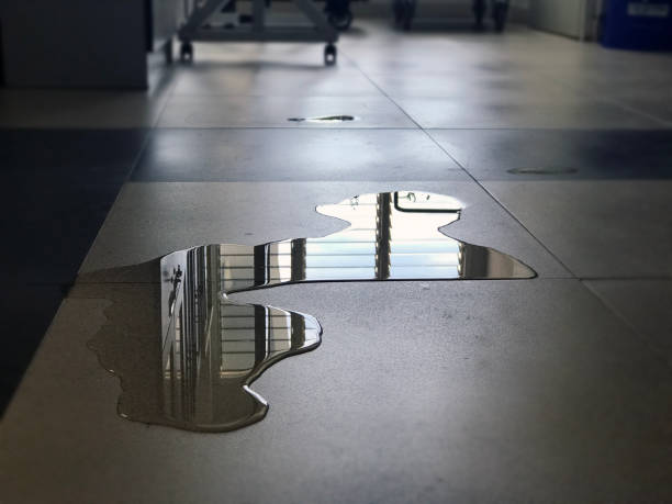 Best Flood restoration services  in Gaylord, MN