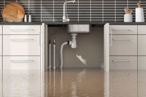 Best Ceiling water damage repair  in Gaylord, MN
